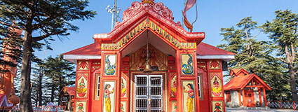 shimla tempo traveller, tempo traveller for shimla manali